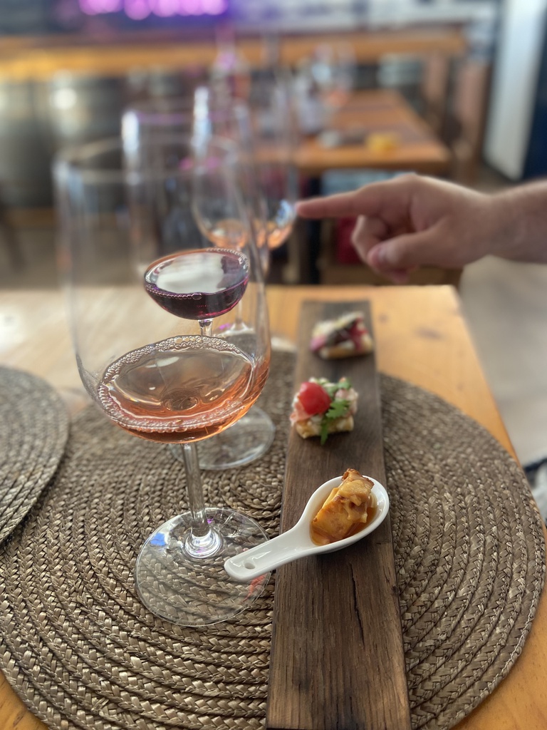 Cata degustación y maridaje con vinos