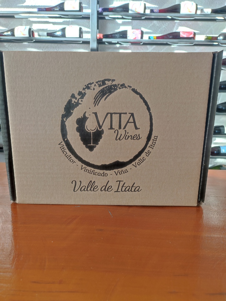 EXPO VINOS VALLE DEL ITATA (cópia)
